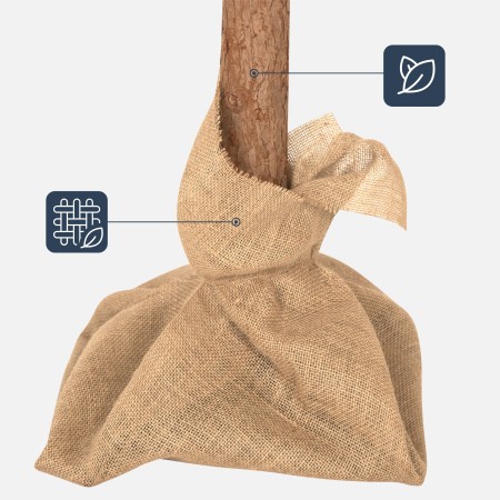 Choinka sztuczna 180 cm Xmas 10