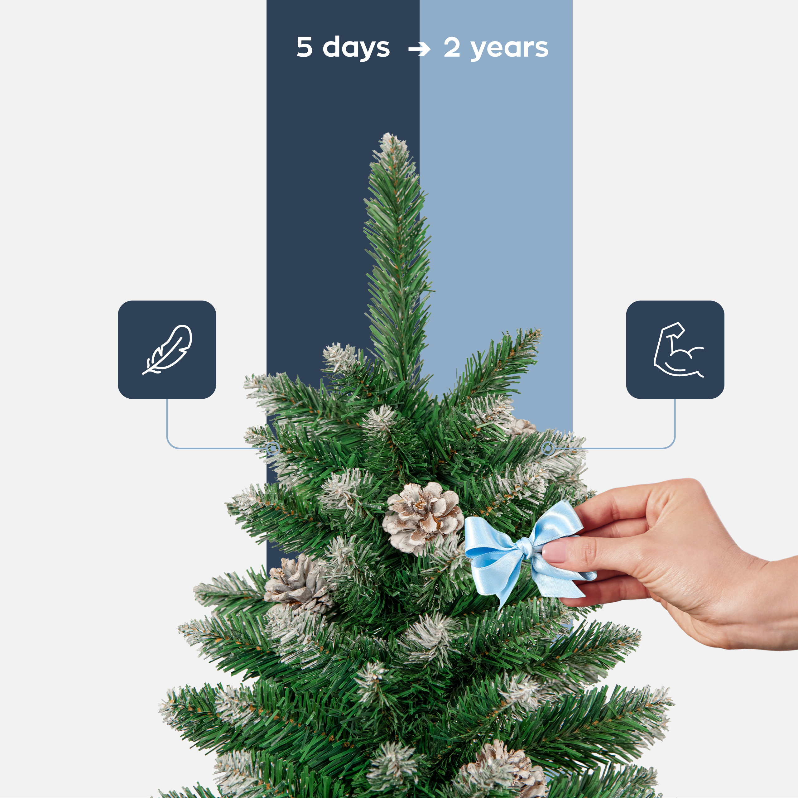 czubek Xmas 50