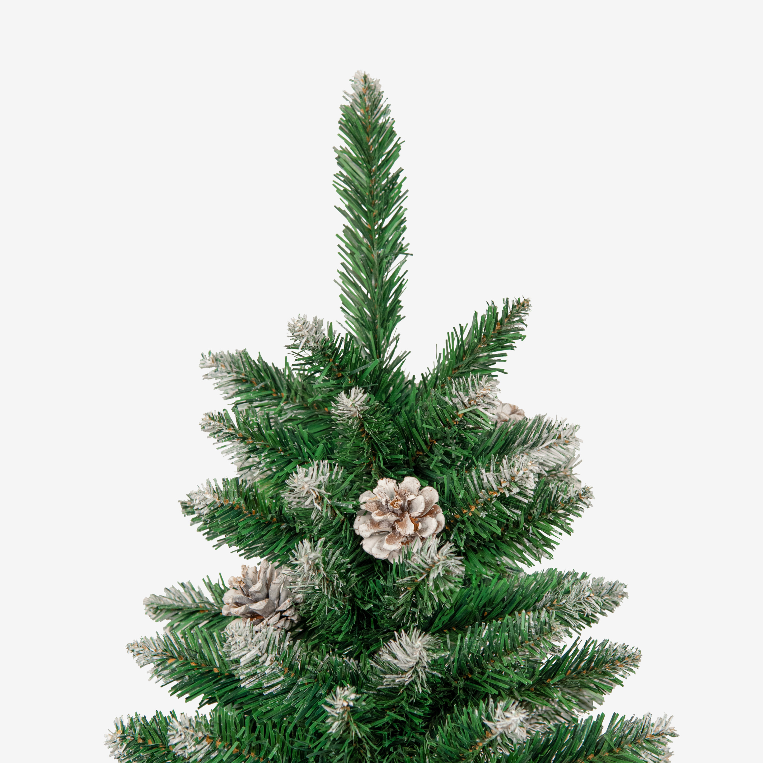 czubek Xmas 50